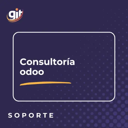 [SER-005] CONSULTORIA ODOO