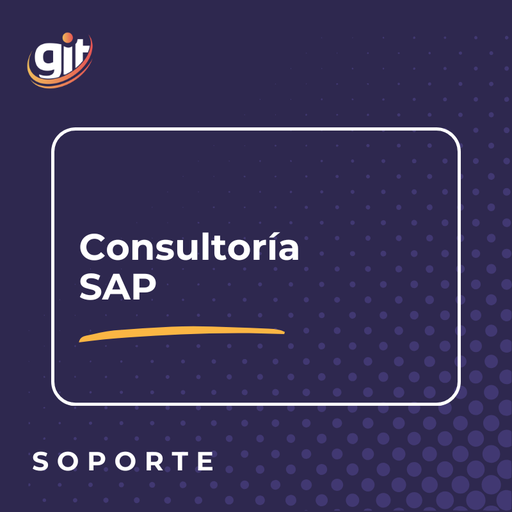 [SER-006] CONSULTORIA SAP